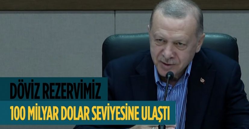 Merkez Bankası'nın rezervleri 100 milyar dolar seviyesine ulaştı