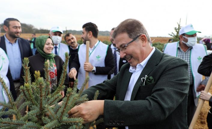 Ey&uuml;psultan'da 2021 yılında 53 bin 47 adet ağa&ccedil; ve &ccedil;alı dikimi