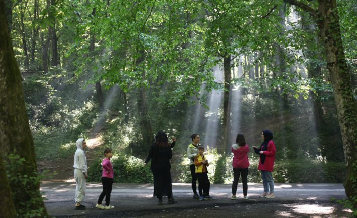 Ey&uuml;psultan&rsquo;da kişi başına 15 metrekare yeşil alan d&uuml;ş&uuml;yor