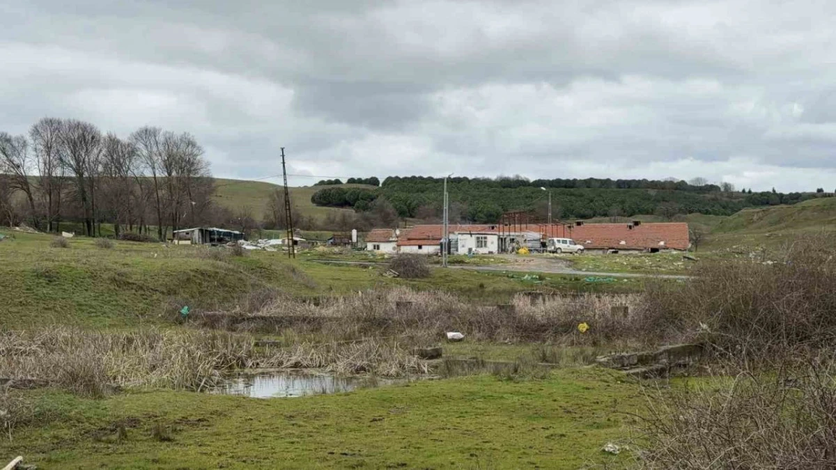 Arnavutk&ouml;y'deki &ccedil;iftlik evinde testereli vahşet: Tartıştığı husumetlisini ağır yaraladı!