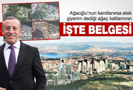 Ağaoğlu'nun ağaç kıyımını belgelediler