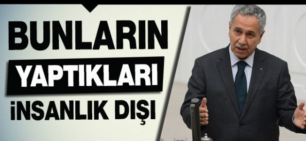 Arınç: Çok üzgünüm! İnsanlık dışı hareket!