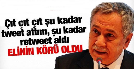 Arınç'tan Siyasilere Twitter Eleştirisi