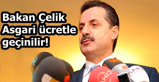 Bakan Çelik: Asgari ücretle geçinilir