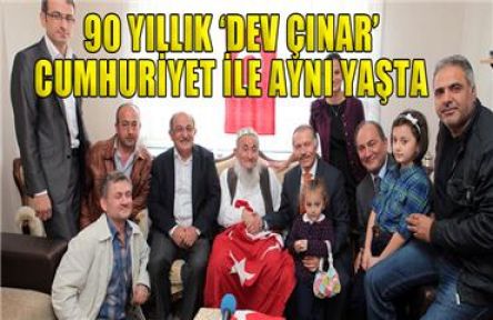 Bayrampaşa'da 90 Yıllık “Dev Çınar“ Cumhuriyet ile Aynı Yaşta