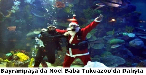 Bayrampaşa'da Noel Baba Tukuazoo'da Dalışta