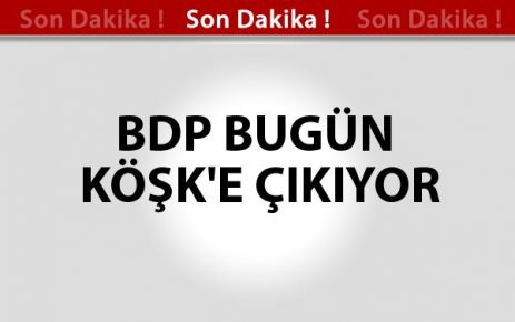 BDP Cumhurbaşkanı Gül ile Görüşecek