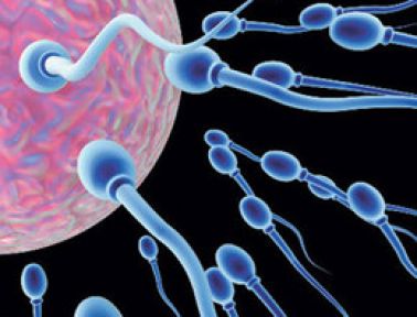 Bu yiyecekler sperm düşmanı! -FOTO GALERİ-