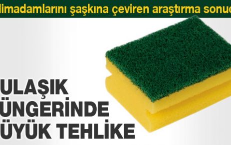 Bulaşık süngerinde büyük tehlike