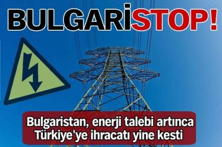 Bulgaristan, enerji talebi artınca Türkiye'ye ihracatı yine kesti 