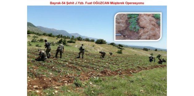 Diyarbakır'da PKK'ya büyük operasyon