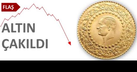 Dolar Tarihi Zirveyi Yeniledi, Altın Çakıldı!