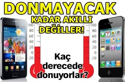 Donmayacak kadar akıllı değil!