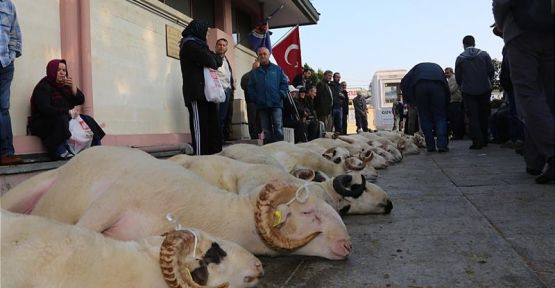  Eyüp Sultan'da Bayram Nasıl Geçti