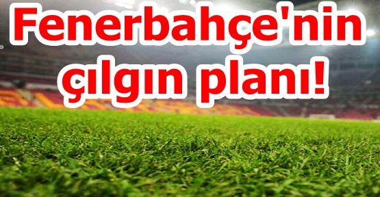 Fenerbahçe'nin çılgın planı!