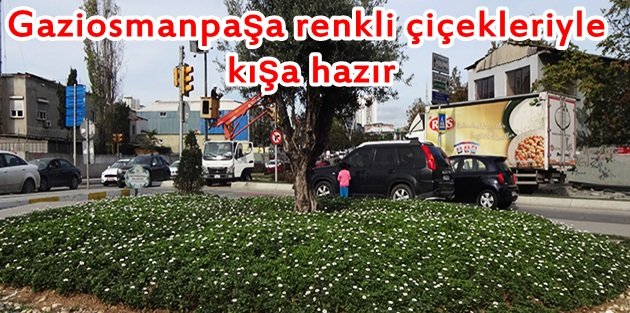 Gaziosmanpaşa renkli çiçekleriyle kışa hazır