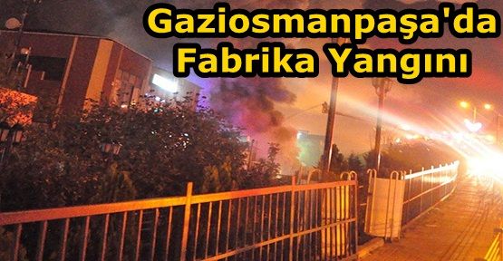 Gaziosmanpaşa'da fabrika alev alev yandı