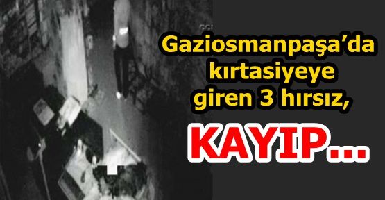 Gaziosmanpaşa'da Kırtasiye Hırsızları Güvenlik Kamerasında!