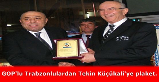 GOP'lu trabzonlulardan Tekin Küçükali'ye plaket.