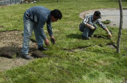 Gop’ta Park Ve Bahçeler Müdürlüğü’ne Geçiçi İşçi Alınacak. 