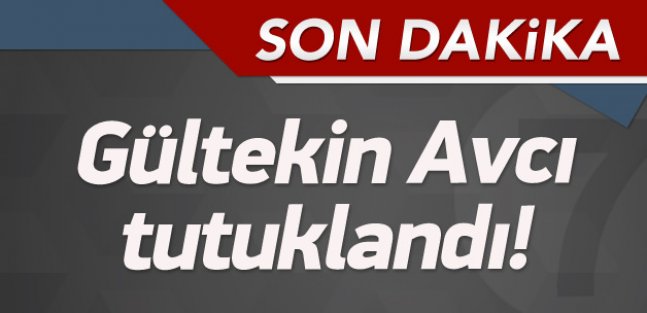 Gültekin Avcı tutuklandı