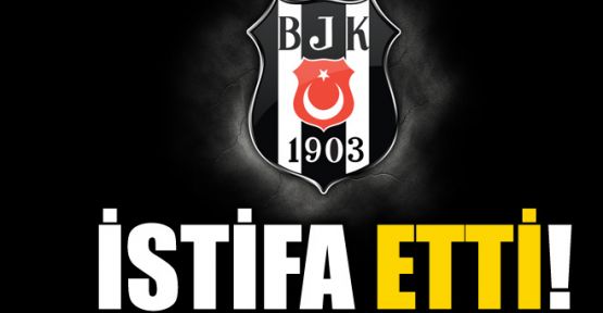 İsmet Berkan istifa etti