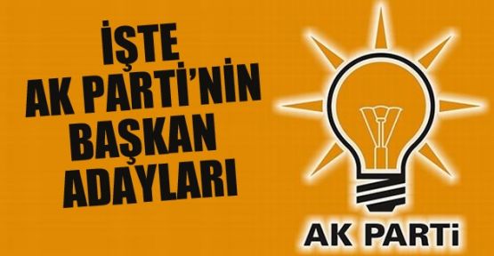 Ak Parti'nin netleşen İstanbul adayları