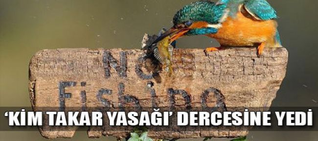 'Kim takar yasağı' dercesine, yedi!-FOTO GALERİ-