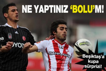 Ne yaptınız 'Bolu'm!