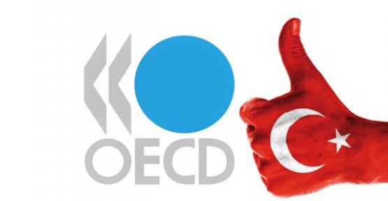 OECD'nin en büyüğü Türkiye