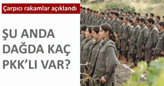 PKK'ya katılımın en yüksek olduğu 5 il