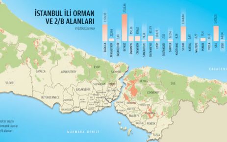 Sadece İstanbul'da 16 milyar liralık 2-B arazisi var