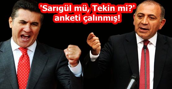 'Sarıgül mü, Tekin mi?' anketi çalınmış!