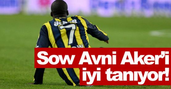 Sow bu stadı iyi tanıyor!