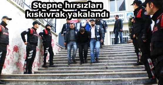 Stepne hırsızları kıskıvrak yakalandı