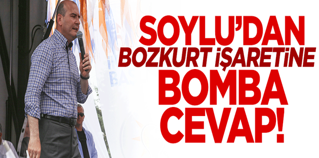 Süleyman Soylu'dan Bozkurt İşaretine Bomba Cevap