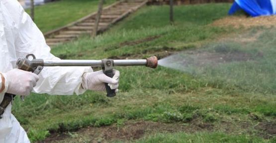 Sultangazi'de İlaçlama Çalışmaları