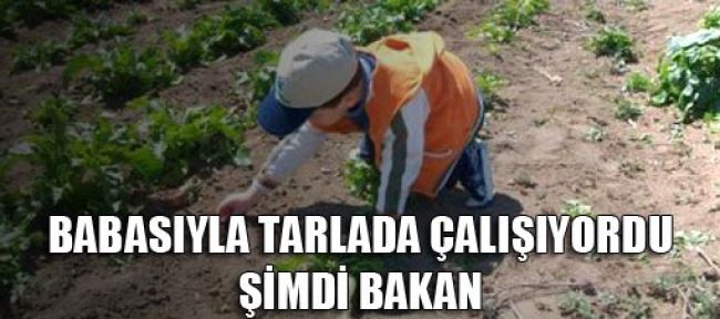 Tarlada çalışıyordu şimdi Bakan!