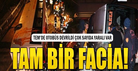 Tem Otoyolunda Otobüs Devrildi, Çok Sayıda Yaralı Var