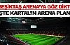 Beşiktaş'ın Arena planı