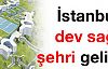 İstanbul'a dev sağlık şehri geliyor