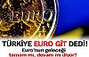 Türk halkı Euro'yu istiyor mu?