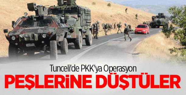 Tunceli'de PKK'ya operasyon başlatıldı