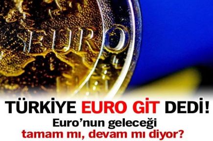 Türk halkı Euro'yu istiyor mu?