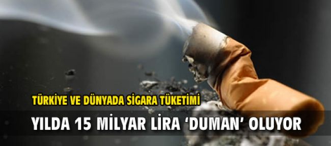 Yılda 15 milyar lira 'duman' oluyor