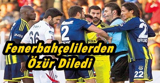 Yunus Yıldırım, Fenerbahçelilerden Özür Diledi