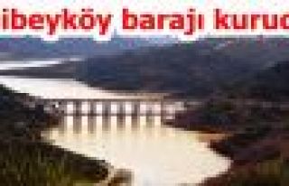 Alibeyköy barajı kurudu