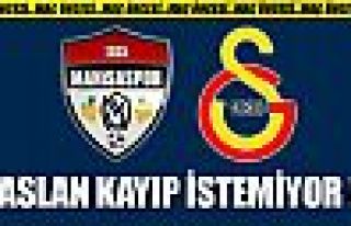 Aslan kayıp istemiyor !