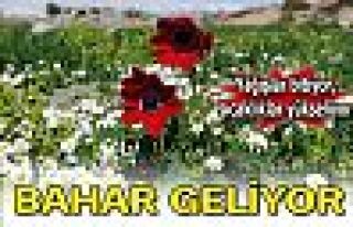 Bahar geliyor