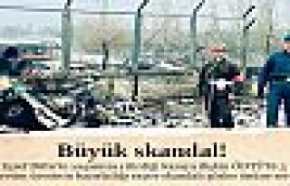 Büyük skandal!